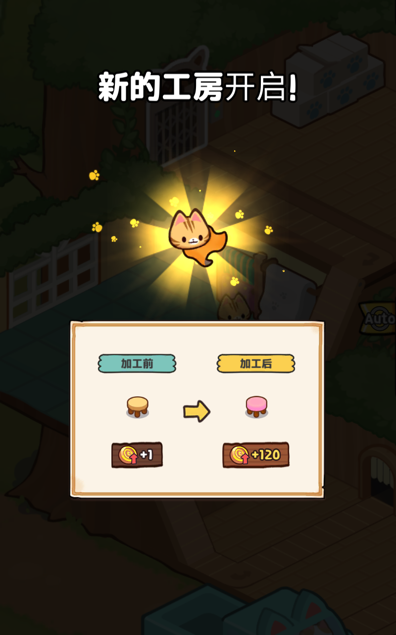 猫咪的小院