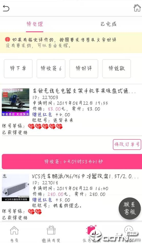 人气猫新