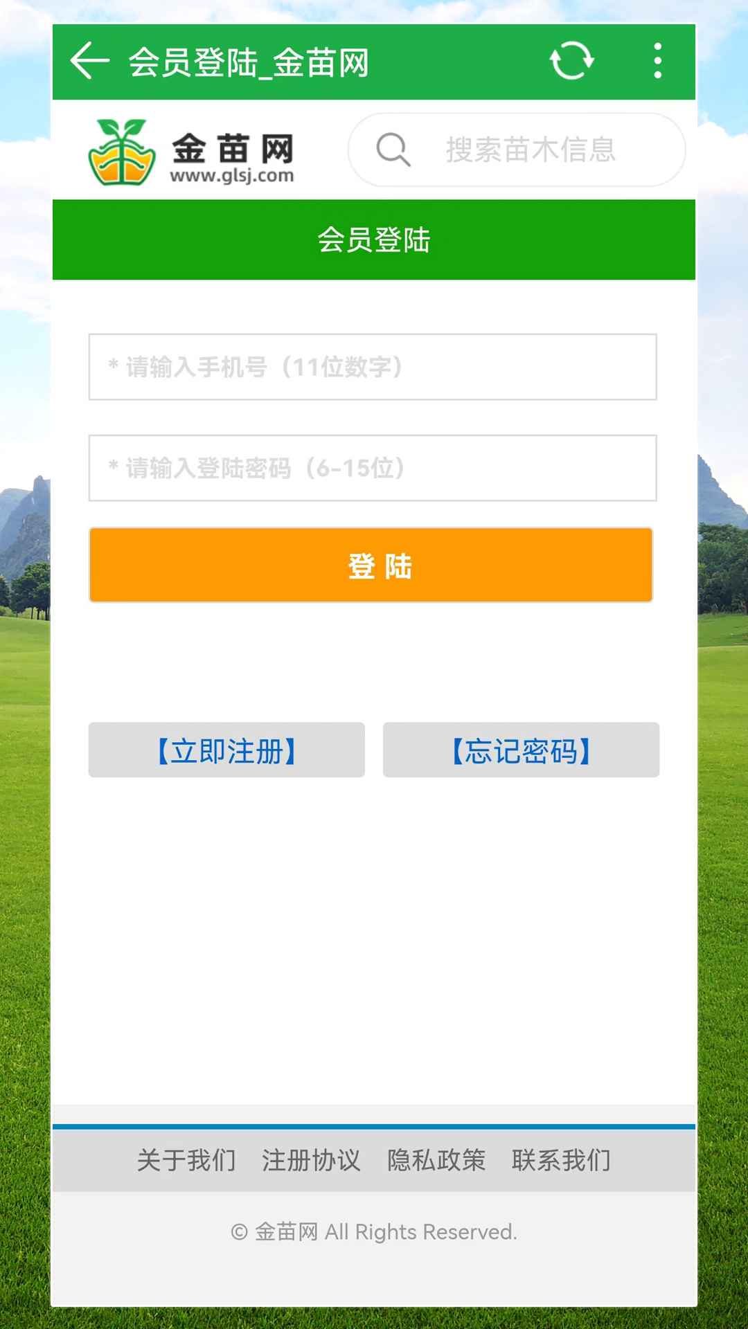 金苗网