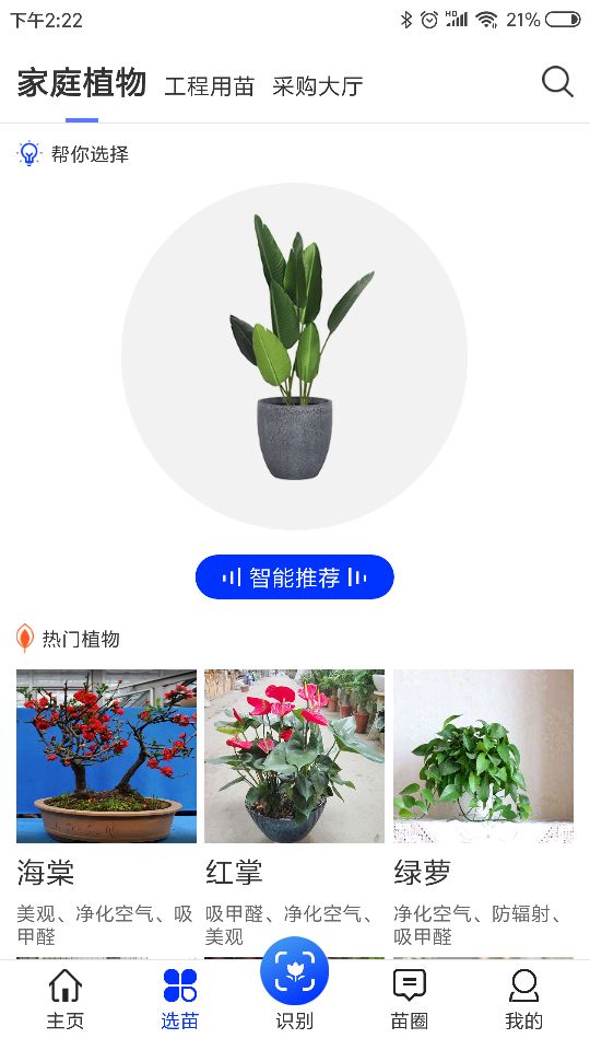 苗木之家