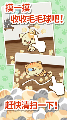 猫咪的毛app