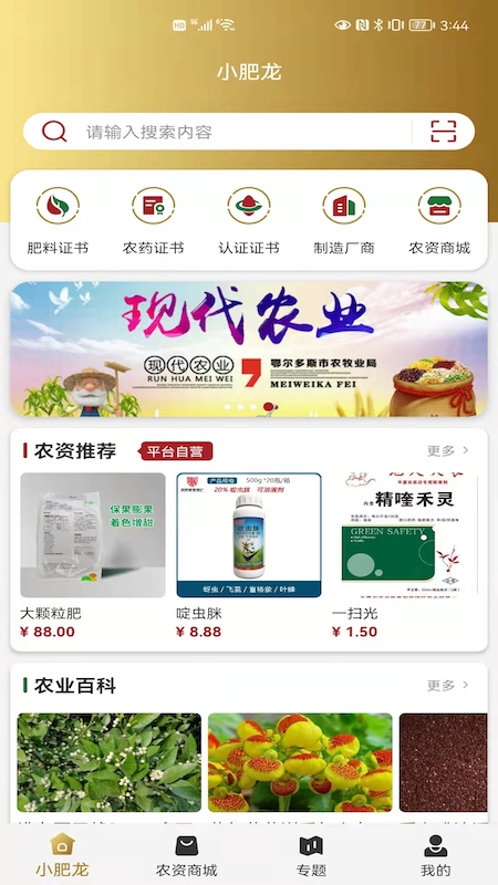 小肥龙