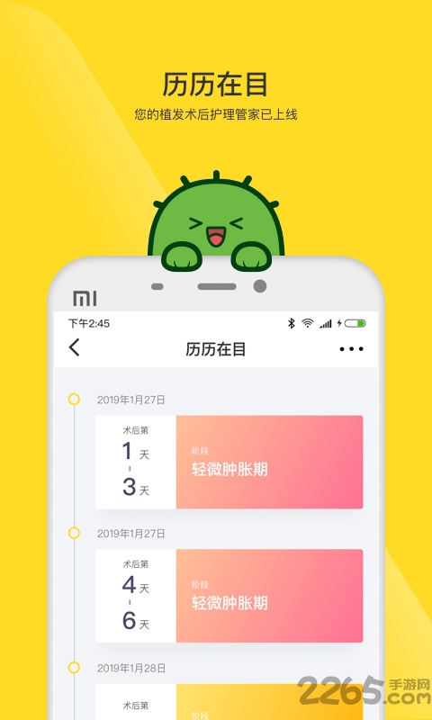 毛小丁