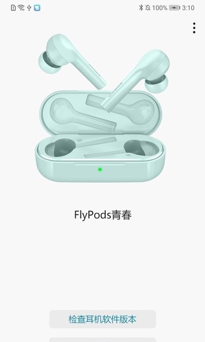 flypaper