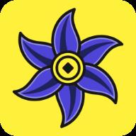 风信子花