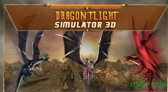 终极飞龙模拟器中文破解版