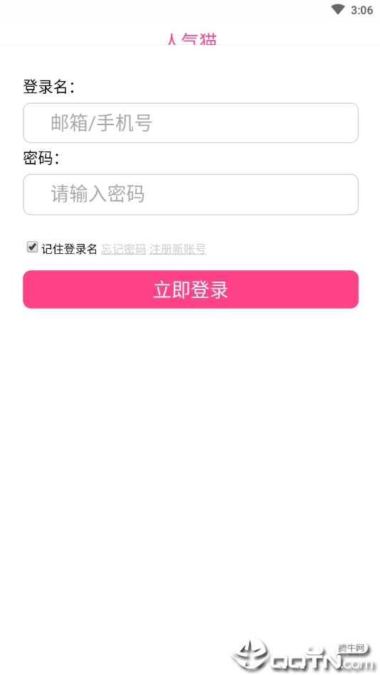 人气猫新