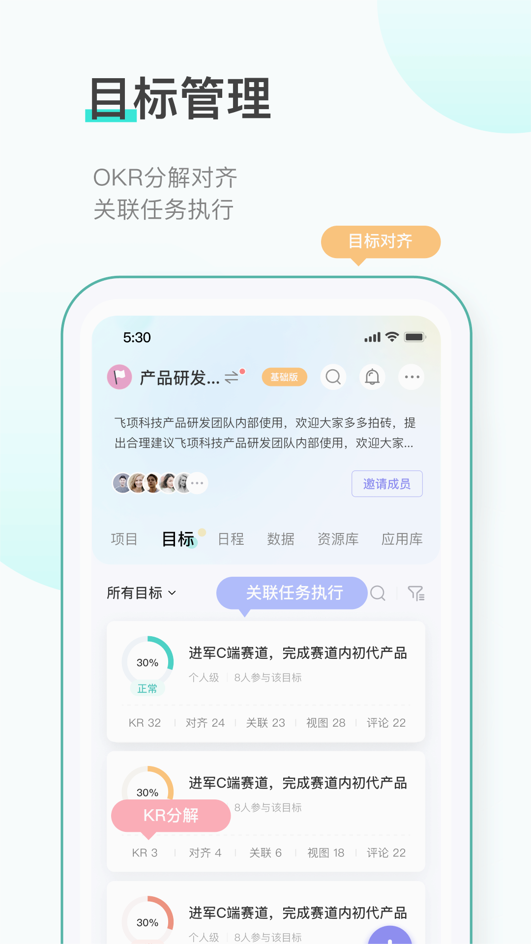 飞项