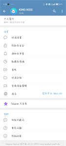 纸飞机TELEGERAM