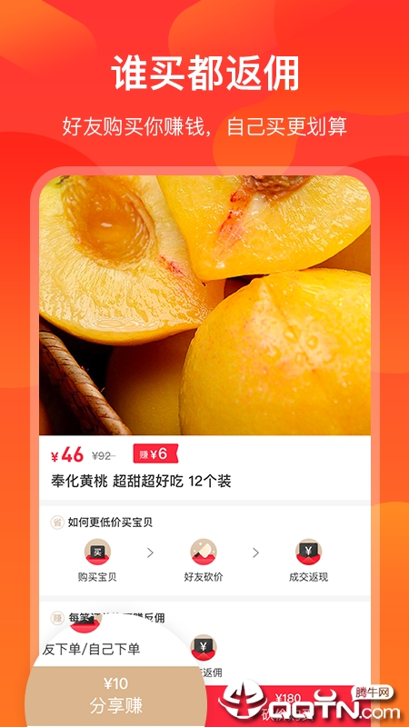 海豚零食