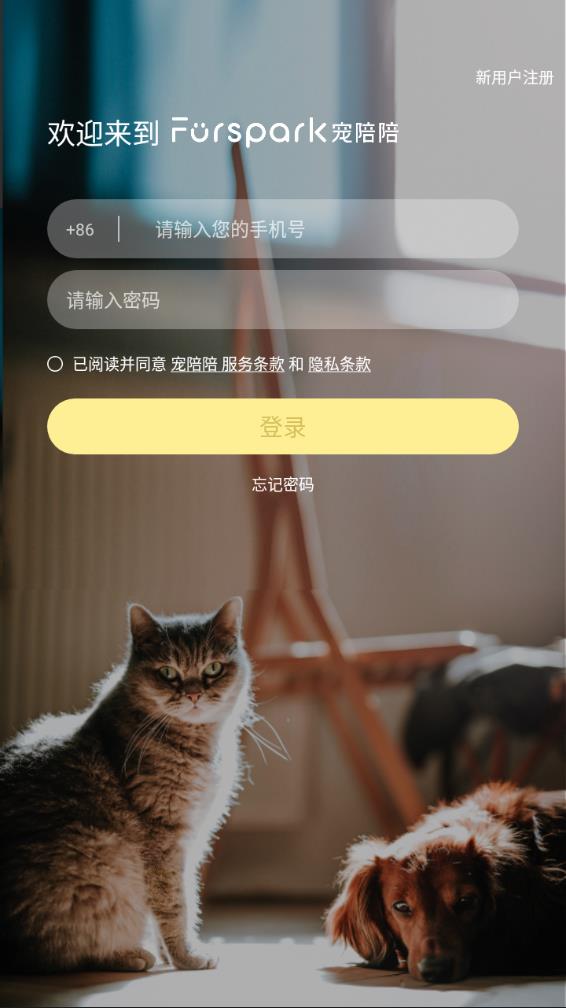 宠陪陪