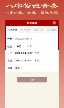 大师八字排盘