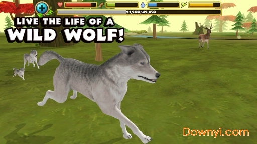 灰狼模拟器内购修改版(wolfsim)