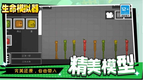 生命模拟器