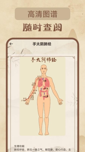针灸经络穴位