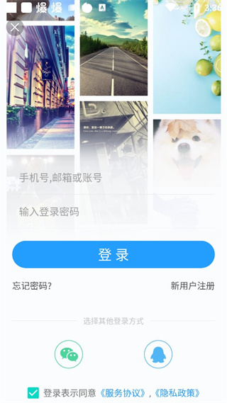 搞趣壁纸