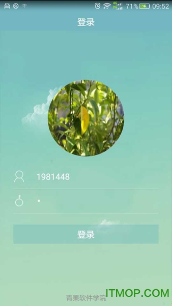 青果喜鹊儿app软件