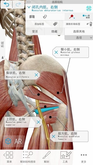 2023人体解剖学图谱苹果版