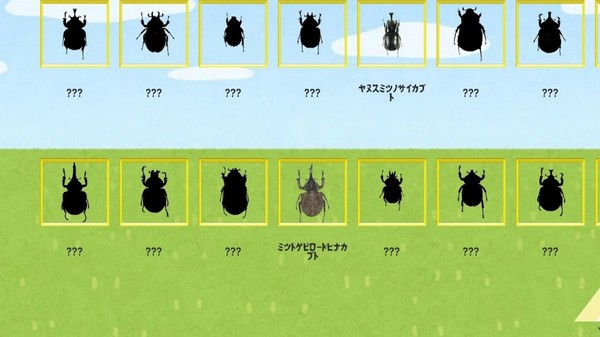 猫咪与昆虫 猫咪与昆虫