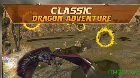 终极飞龙模拟器中文破解版