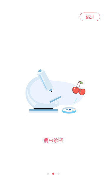 樱桃医生