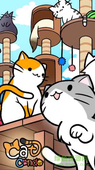 猫咪公寓喵友日记