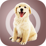 狗语翻译交流器