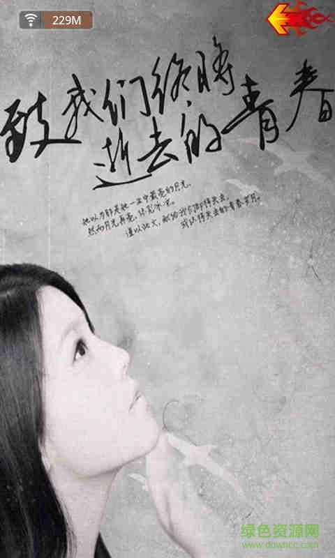 致青春动态壁纸