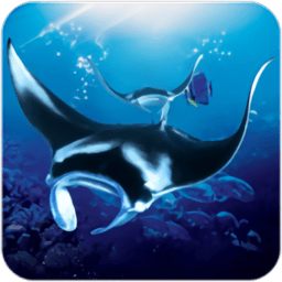 蝠鲼模拟器(the manta rays)