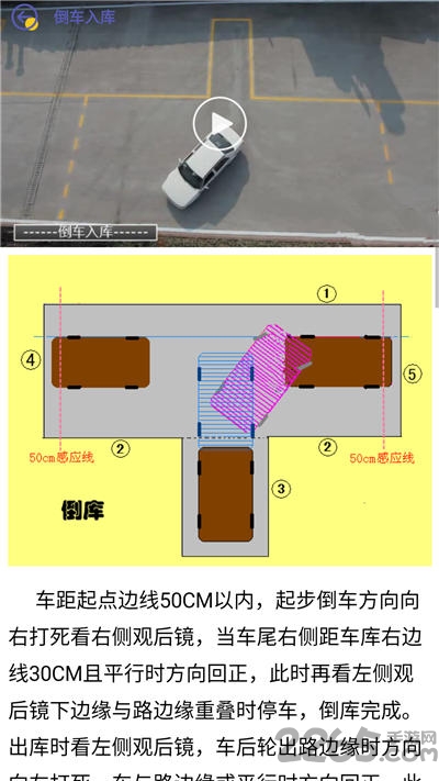 考个驾照