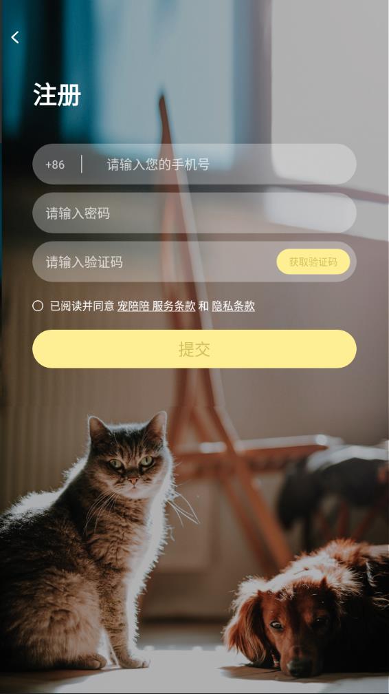 宠陪陪