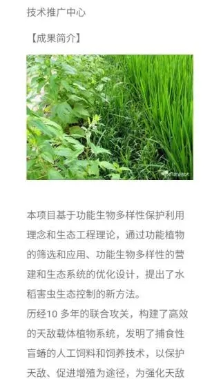 华臻