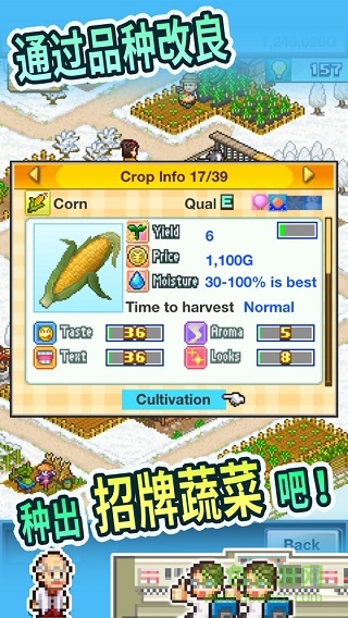 晴空农场物语破解版