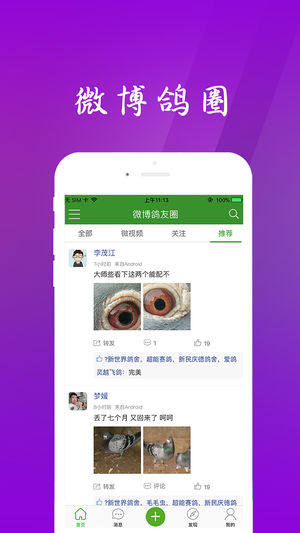 中国信鸽信息网