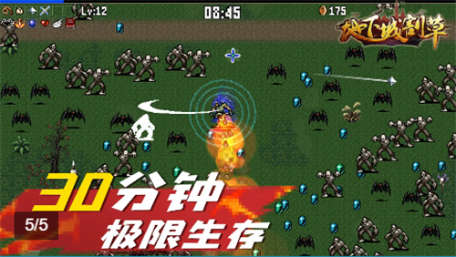 地下城割草万宁版