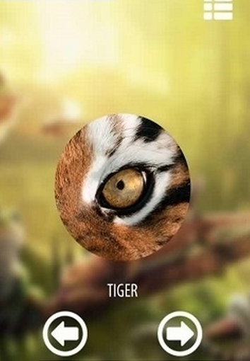 Vision animal simulator(通过动物眼睛看到的世界手机软件下载)