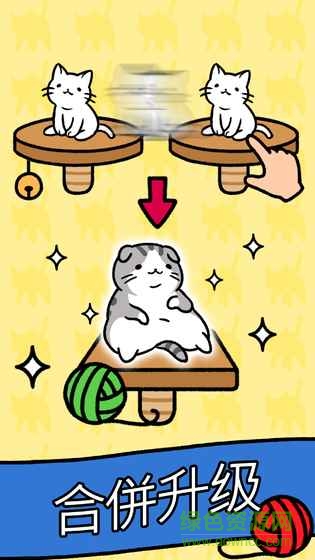 猫咪公寓喵友日记