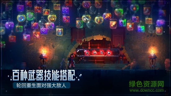 重生细胞完整版