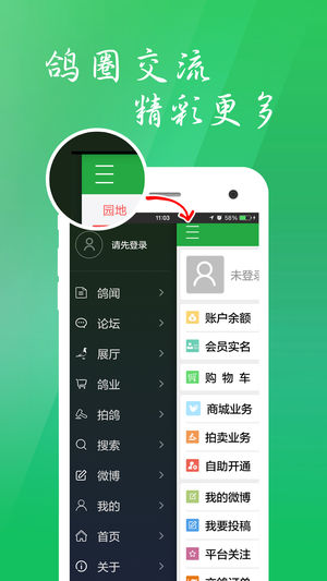 中国信鸽信息网