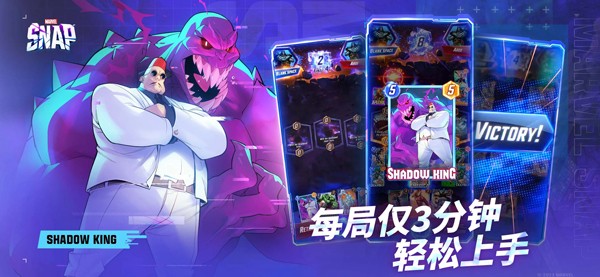 SNAP安装器