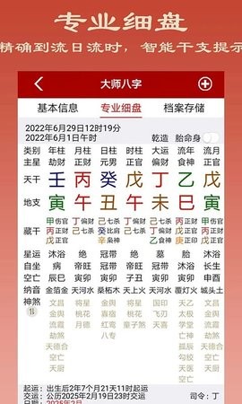 大师八字排盘