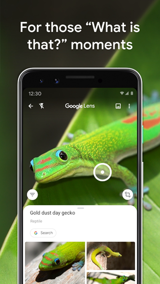 Google智能镜头 安卓版v1.17.240515009