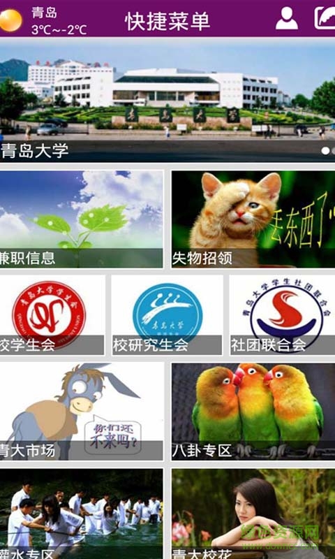 掌上青大