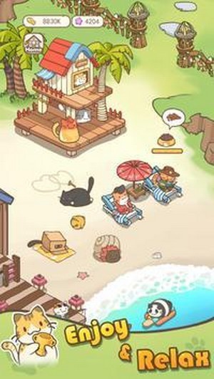猫咪之家