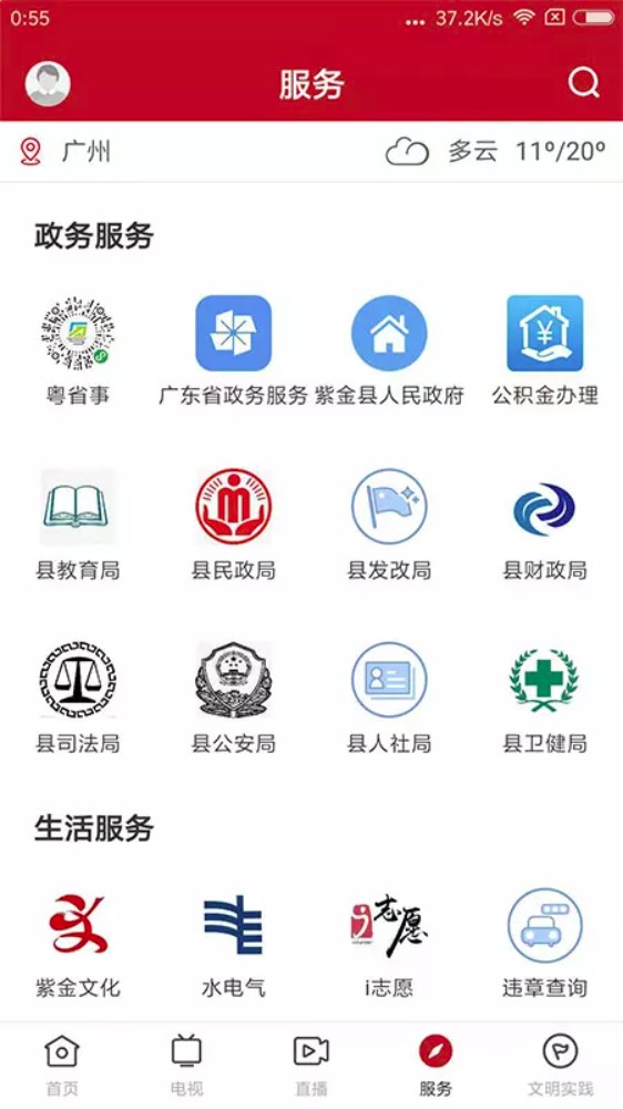 今紫金