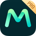 MshowPro软件
