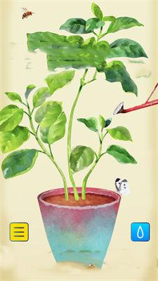 植物培养大师