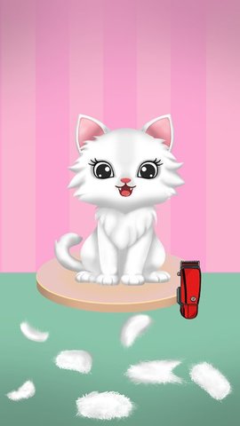 Satis Saga : ASMR Game