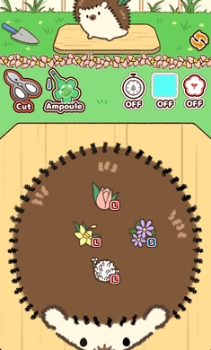 小花盆刺猬(Hananezumi)