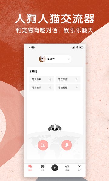 宠物君
